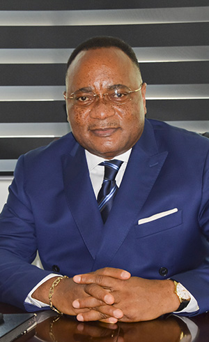 Serge William Landry Massembo Doumou, Directeur général
