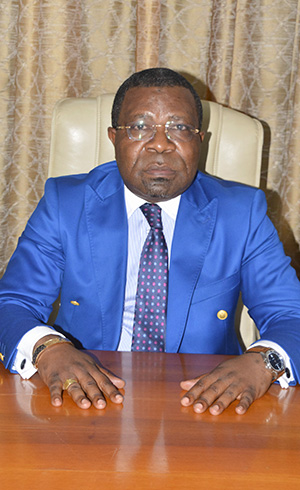 Hervé Axel Vladmir OYELA, Adviser for projects monitoring