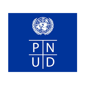 Logo PNUD