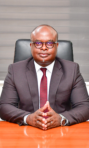 Audrey MAPITHY-MA-MAPITHY, Conseiller Administratif et Juridique