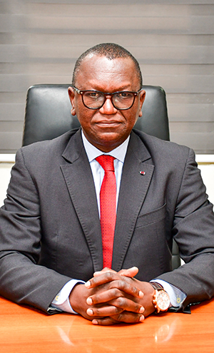 Brice ONDONGO-EZHET, Conseiller au portefeuille public