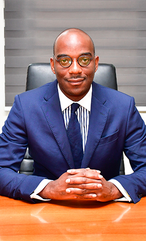 Philippe David ANDELY, Chargé de mission