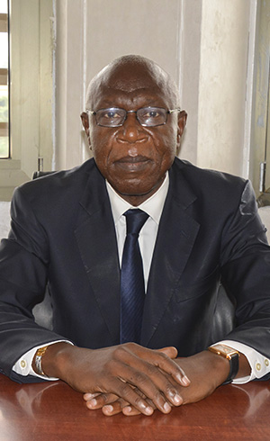 Roger ONGOLY, Adviser on monitoring relations with ECCAS, <br/> ZLEC, the European Union and eximbank china.