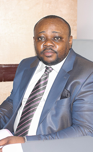 Dominique Ursel TSONO NDZALE, Adviser for banking and national financial institutions